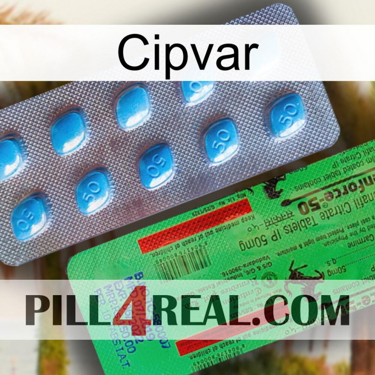 Cipvar new03